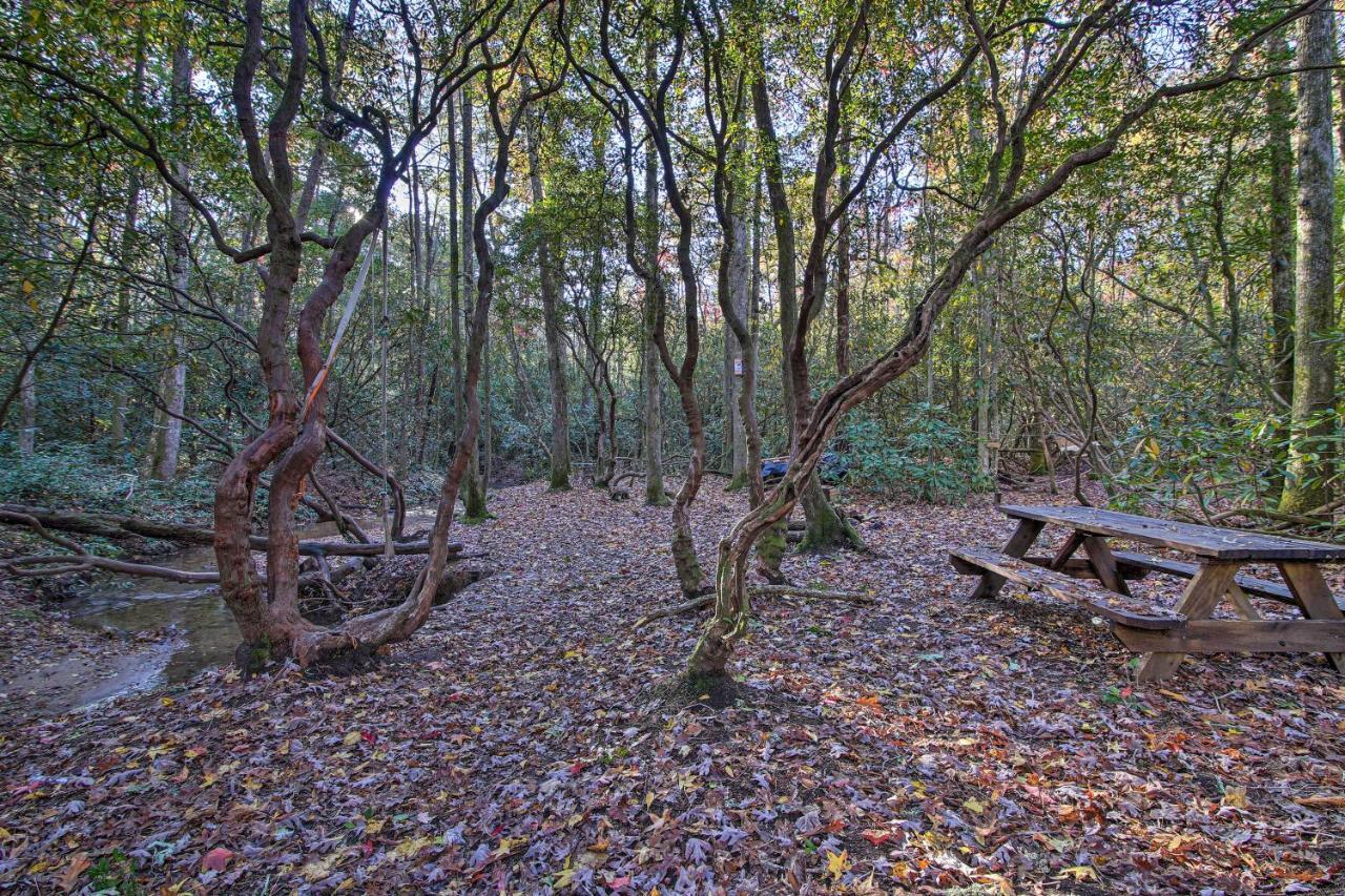 Sautee Nacoochee 5-Acre North Georgia Mountain Retreat With Creek! 빌라 외부 사진
